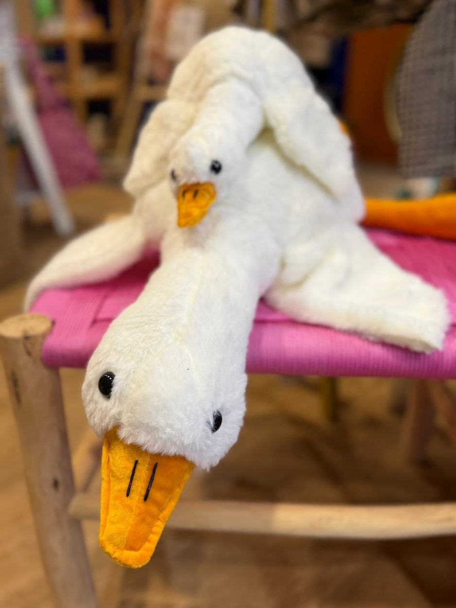 Bleu Pivoine, Provins, Nogent-sur-Seine, Coulommiers, Nangis